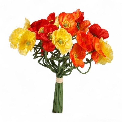 BUNDLE ANEMONE X 24 ROSSO